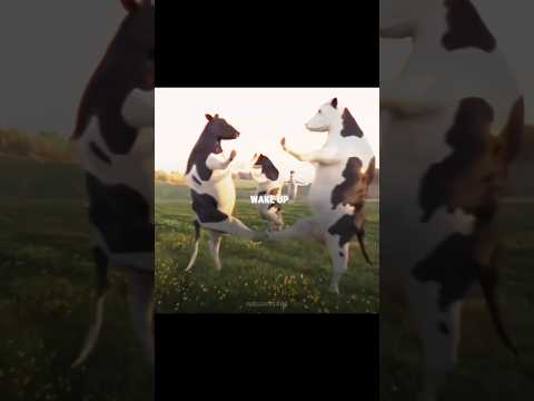 WAKE UP IT'S THE FIRST OF THE MONTH Cow Dancing Meme Funny Video Edits Well Off Core