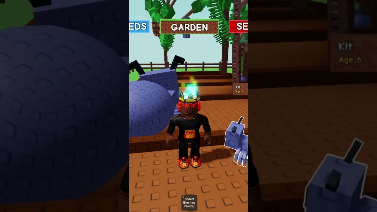 NEW METHOD TO GET CHI POINTS AND RAIJU FAST 