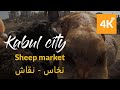 Kabul in 4K | Walking into Sheep market before Eid al Adha | نخاس کمپنی پیش از عید قربان