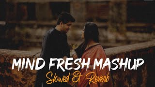 Mind Fresh Mashup | Slowed & Reverb | Love Mashup | Best Hindi Lofi Songs | SR Lofi Vibes