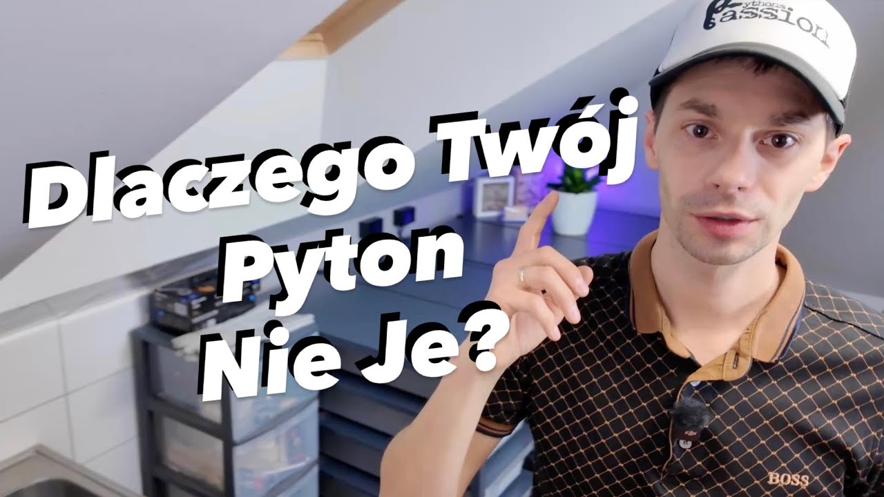 Co Zrobić Gdy Pyton Królewski Przestaje Jeść — Poradnik Krok Po Kroku