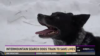 Intermountain search dogs train to save lives