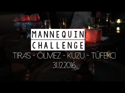 Mannequin Challenge -