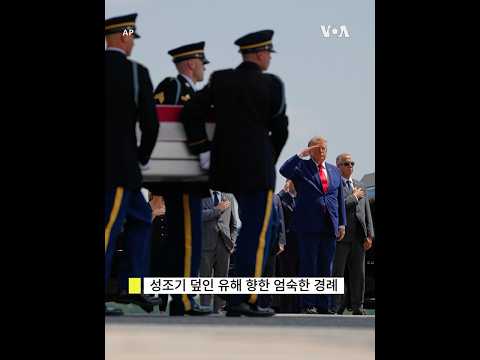 조국 품으로 돌아온 영웅들…트럼프 대통령, 전사 미군 유해 운구식 참석 #shorts