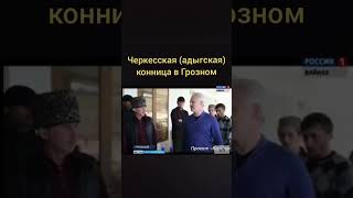 Чеченец про Черкес #чеченцы #Черкессы #братия