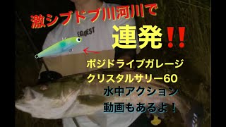 超優秀バイブレーション!!クリスタルサリー60【実釣動画】