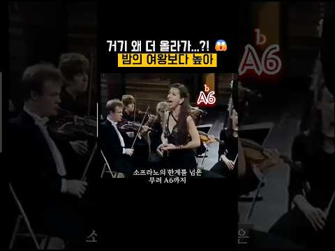 밤의여왕 보다 높은 노래