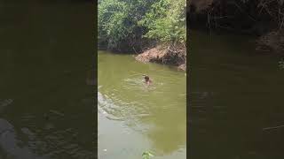 paani bahar karaa helaa ||#sambalpuri#minivlog #trending #shorts #vlog