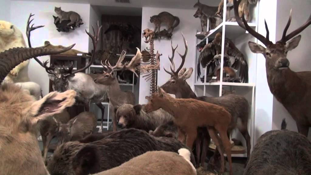 Свято-Алексеевская пустынь - YouTube