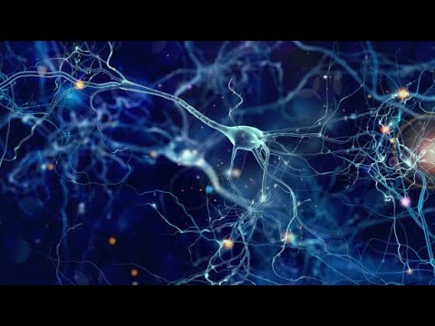 Repaso Sistema Sanguineo - Respiratorio | Anato y fisio humana | UPCH