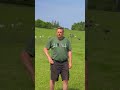 Wir leben da, wo andere Urlaub machen.