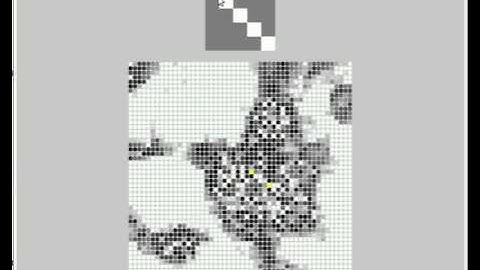 High-dimensional representation in a spiking neural network