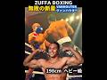 【12-0 無敗 9KO】米国ヘビー級 21才 新星バンハウター🇺🇸198cm Zuffa Boxing Mazi VANHOUTER