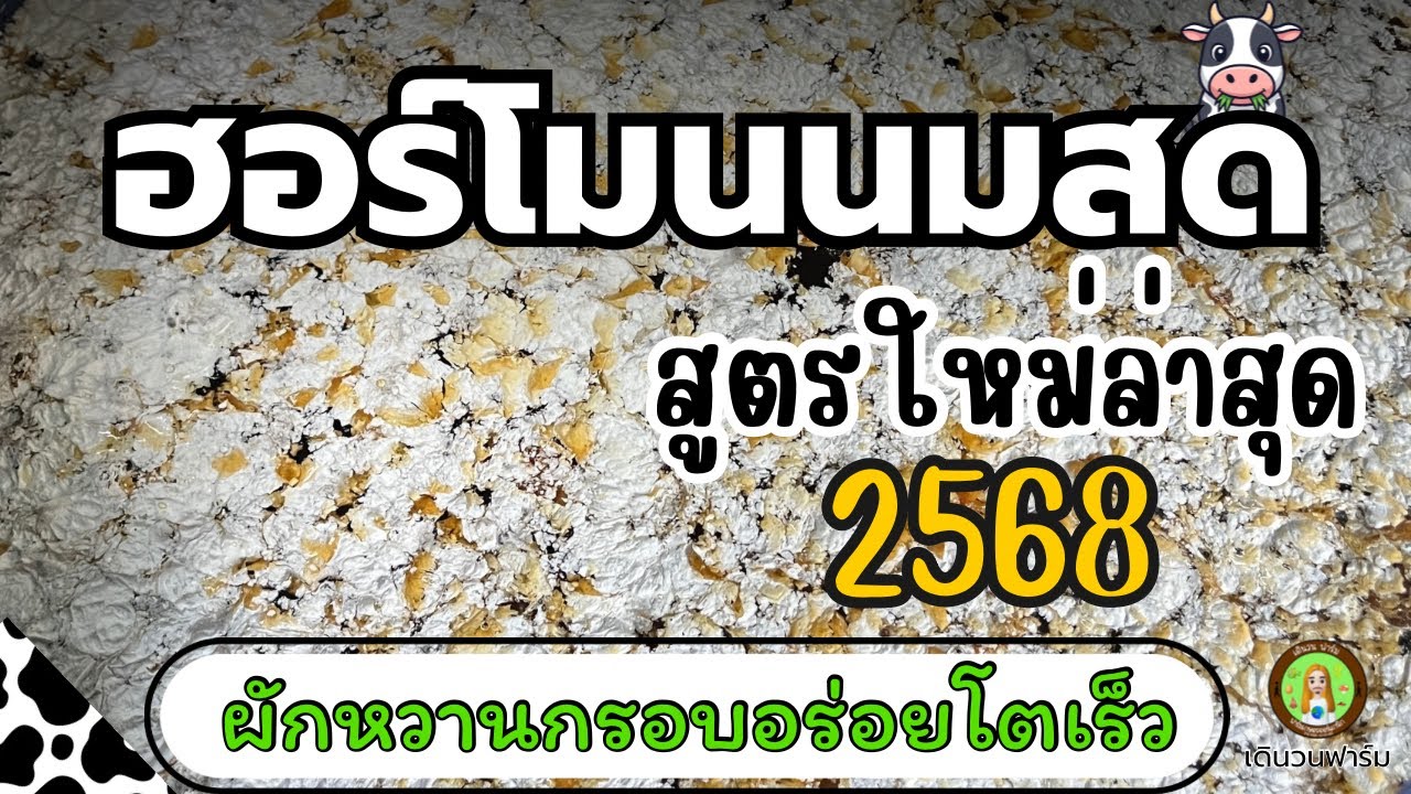 วิธีทำฮอร์โมนนมสดสูตรใหม่ผักหวานกรอบโตเร็วกว่าเดิม