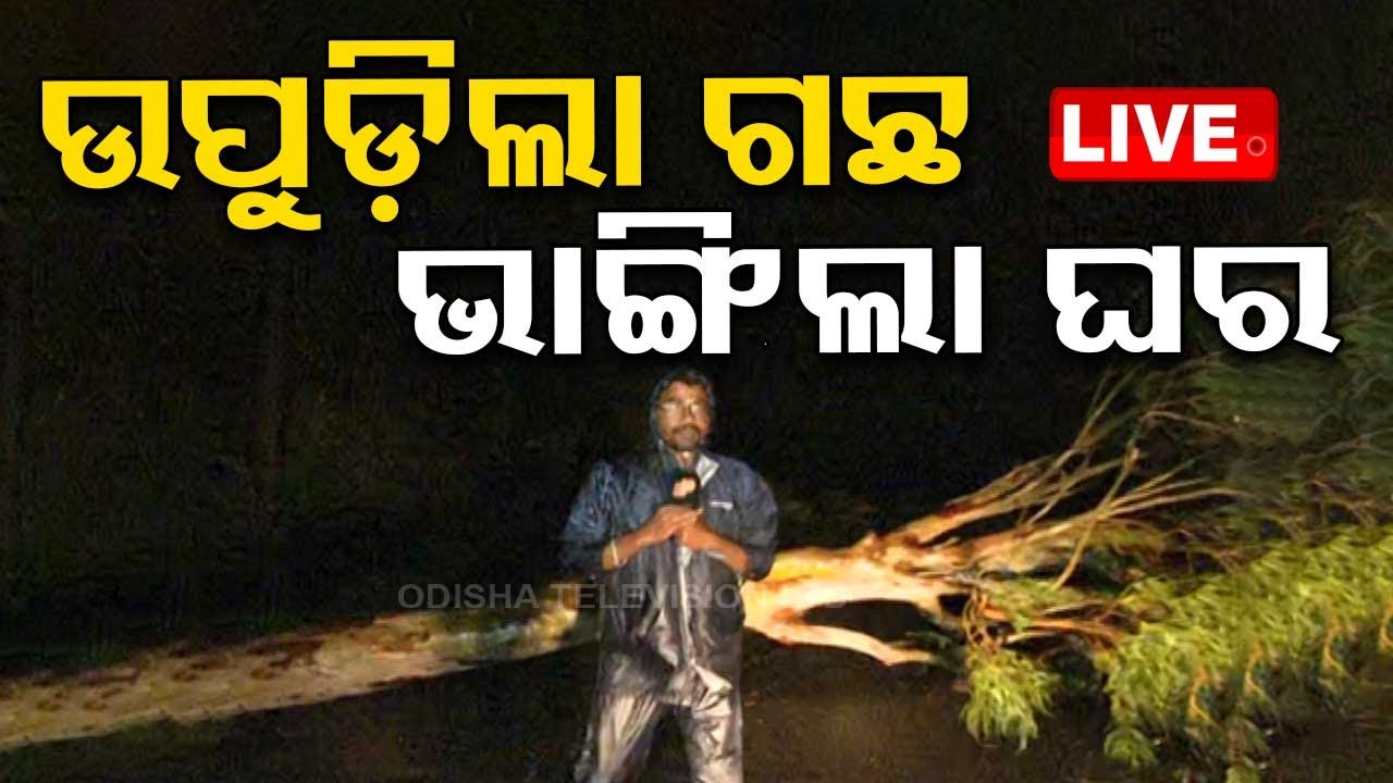 ????Live Cyclone Update | ଉପୁଡ଼ିଲା ଗଛ ଭାଙ୍ଗିଲା ଘର| Cyclone Dana | Landfall | Odisha