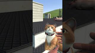 Cat Gun Mayhem