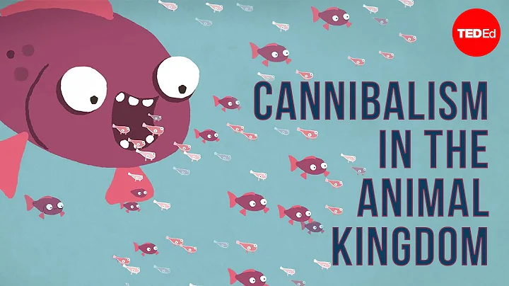 Cannibalism in the animal kingdom - Bill Schutt - DayDayNews