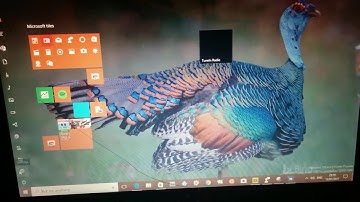 Hands-on Windows 10 Build 15007 Holographic, Microsoft Edge, Web Notes,  Themes Store for PC (video)