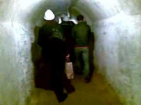 El refugi 307