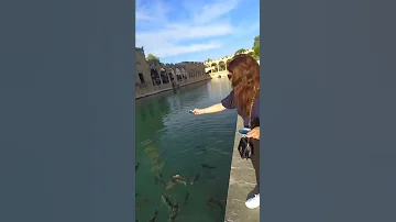 جمال مدينة اورفا ب تركيا 
