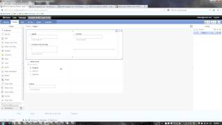 Change Item Labels - Create Multi-Language Form