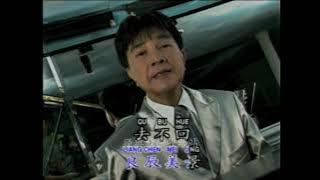 谢雷 多少柔情多少泪