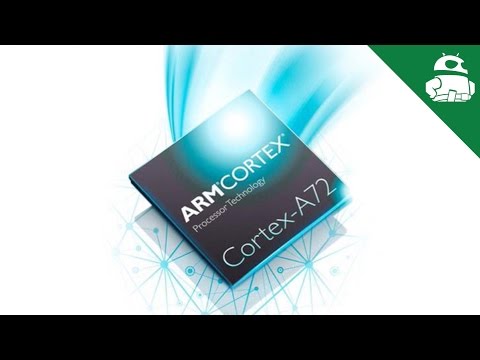 Cortex