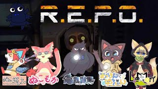 夏の猫に挟まREPO