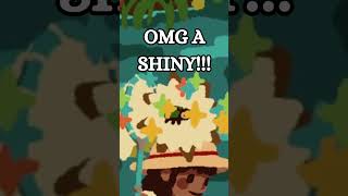 New Shiny in Kabuto!