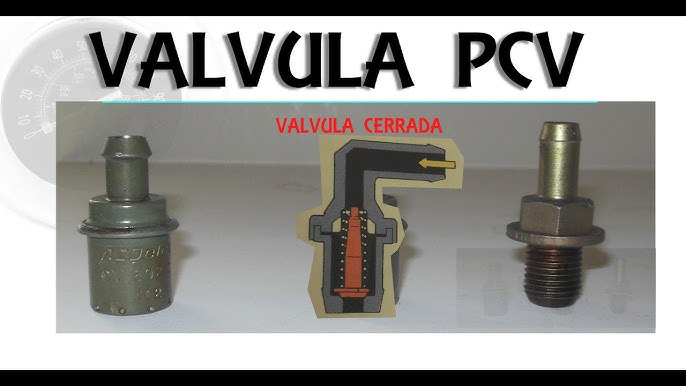 Decantador en el coche o separador de aceite y válvula PCV, ¿qué son y cómo  funcionan? - .·:·. AMAXOFILIA