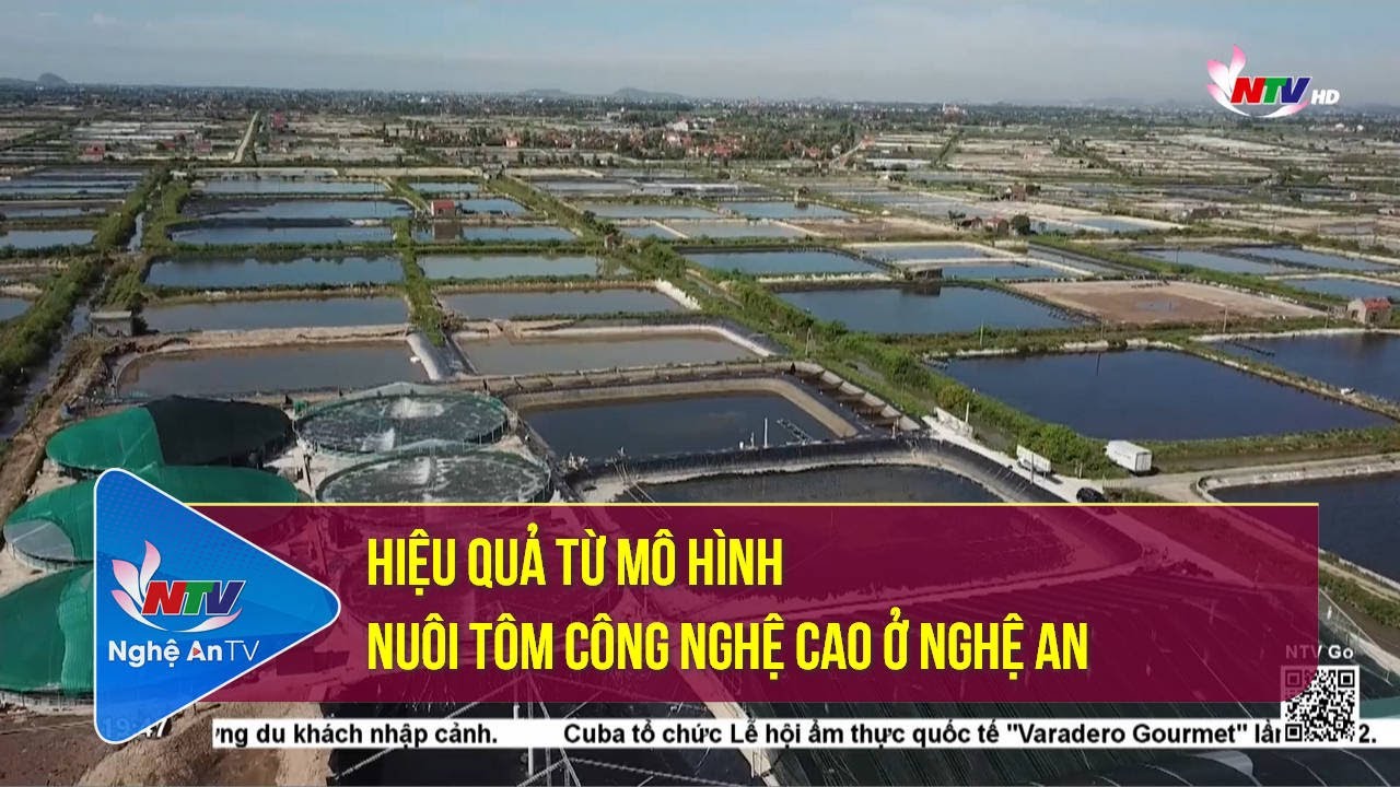 Bạc Liêu phát triển mô hình nuôi tôm công nghệ cao gắn với bảo vệ môi  trường  Kinh nghiệm làm ăn  Báo ảnh Dân tộc và Miền núi