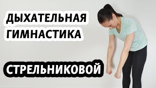 Дыхательная гимнастика Стрельниковой