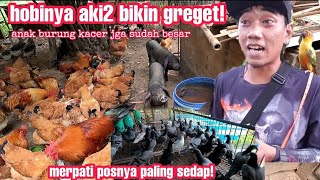 BIKIN MLONGO!! Koleksi aki2 Sultan punya ratusan piaraan di rumahnya
