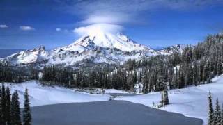 Winter Wonders