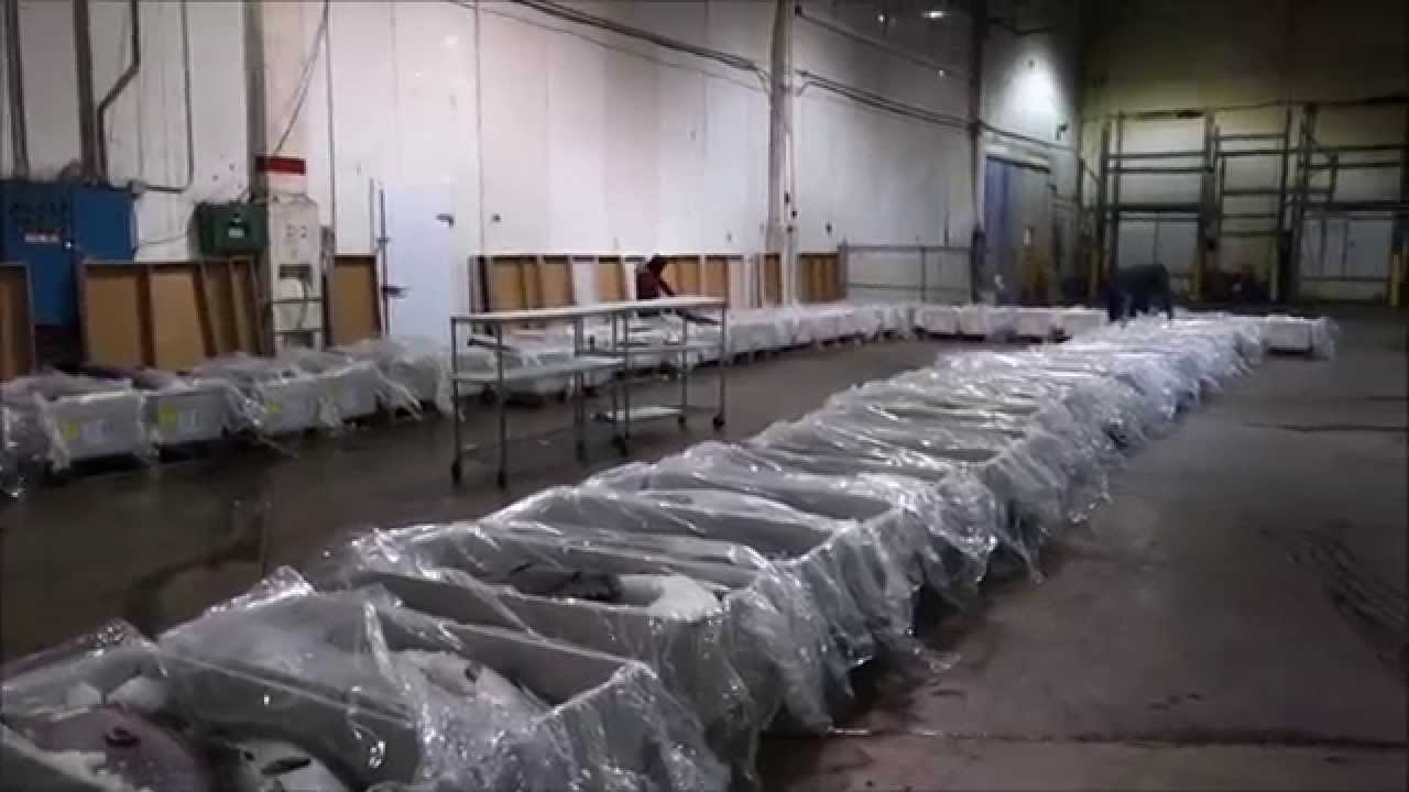 hiroyuki terada guinness Tuna Heaven - Tour of our Fish Supplier