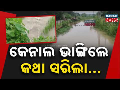 କେନାଲ ଭାଙ୍ଗିଲେ କଥା ସରିଲା | Canal Breach in Balipatna | 8-Foot Breach Puts 500 Acres of Paddy at Risk