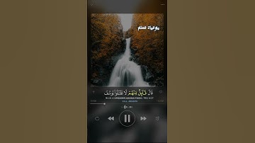 ما تيسر من سورة يوسف #المصحف #قران_كريم