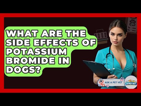 What Are The Side Effects Of Potassium Bromide In Dogs Ask A Pet Vet