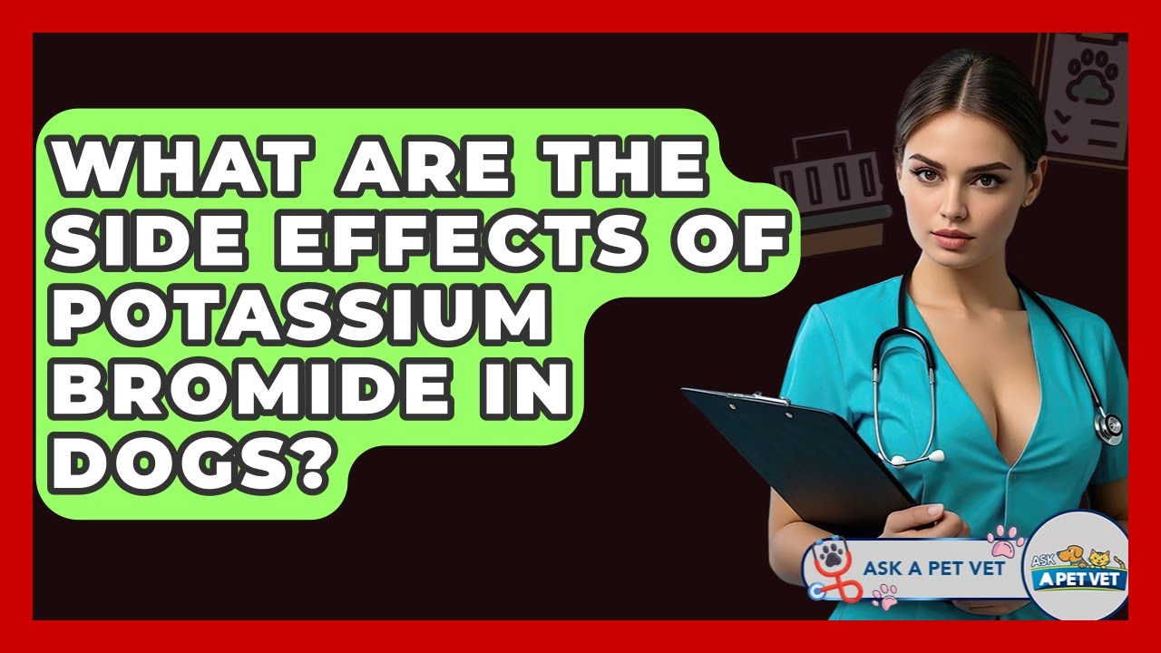 What Are The Side Effects Of Potassium Bromide In Dogs? - Ask A Pet Vet