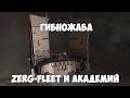 EVE Online: ГИПНОЖАБА. Собрание ZERG-FLEET и академий.