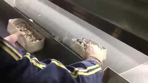 silica color sorter for big size 10-60mm from stone sorting site