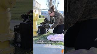 Kitty ran over by car, survives and gets adopted!