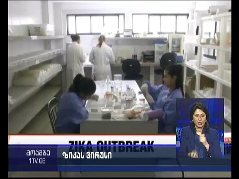 „ზიკა“ ვირუსის პირველი შემთხვევა ჩეხეთში