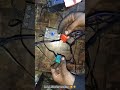 factory electrical wiring work  #shortsfeed #shorts #factorywork #machine #electrical