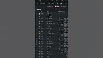 Hide Tracks in Fairlight | DaVinci Resolve Tutorial