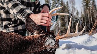 Buck Down, Tracking in the Snow! | Maine Deer Hunt 2022