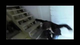 Idiot Manchild Falls Down the Stairs for 10 Minutes