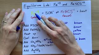 Le Chatelier Lab ANSWERS: Fe3  and FeSCN2  Equilibrium
