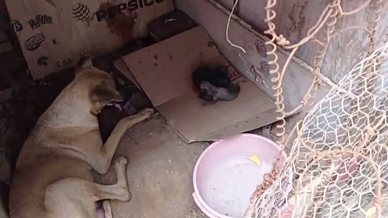 13 de janeiro de 2026