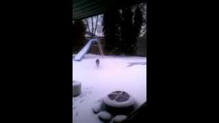 Our Maisy Mouse In The Snow